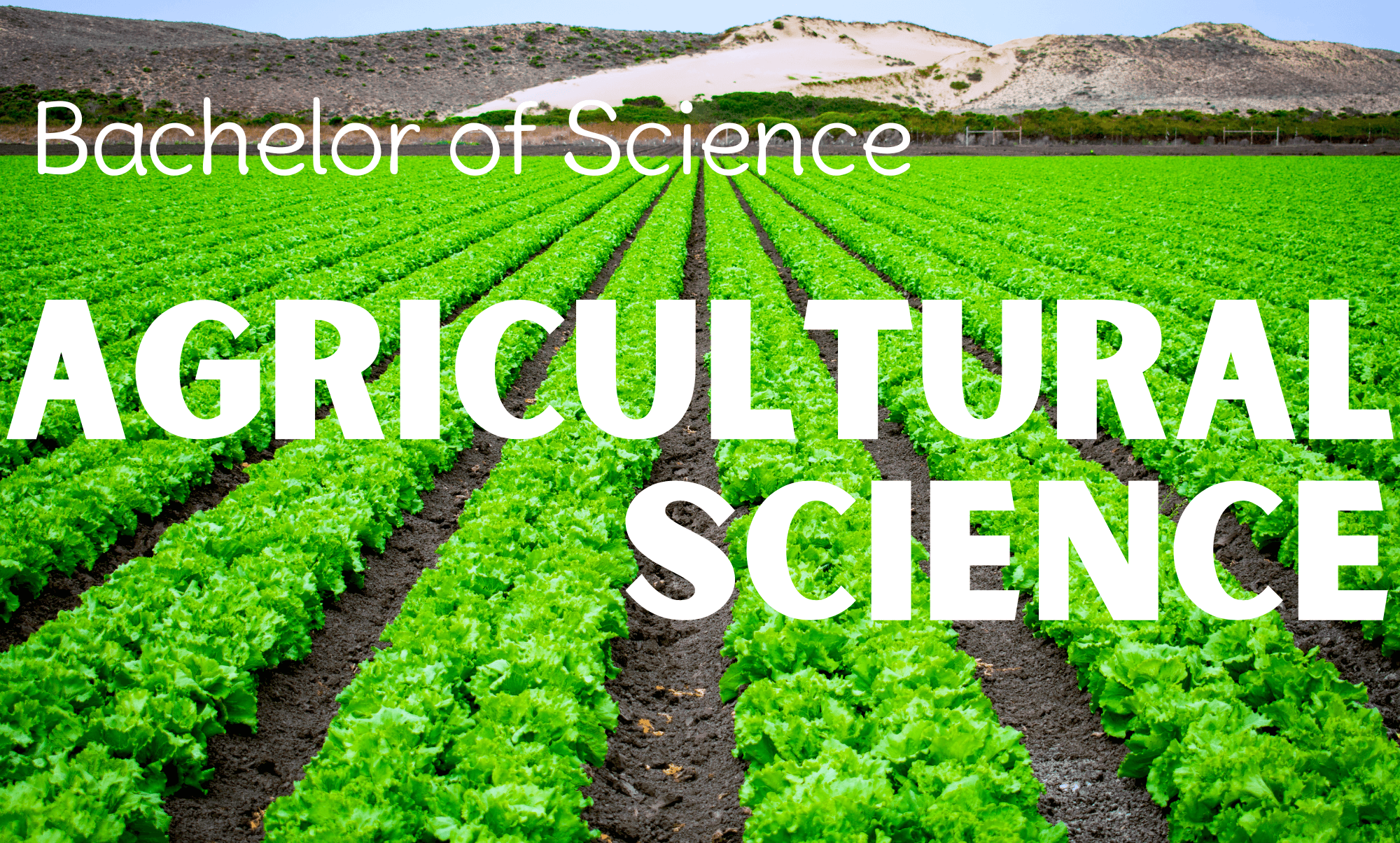 Bachelor of Agricultural Science