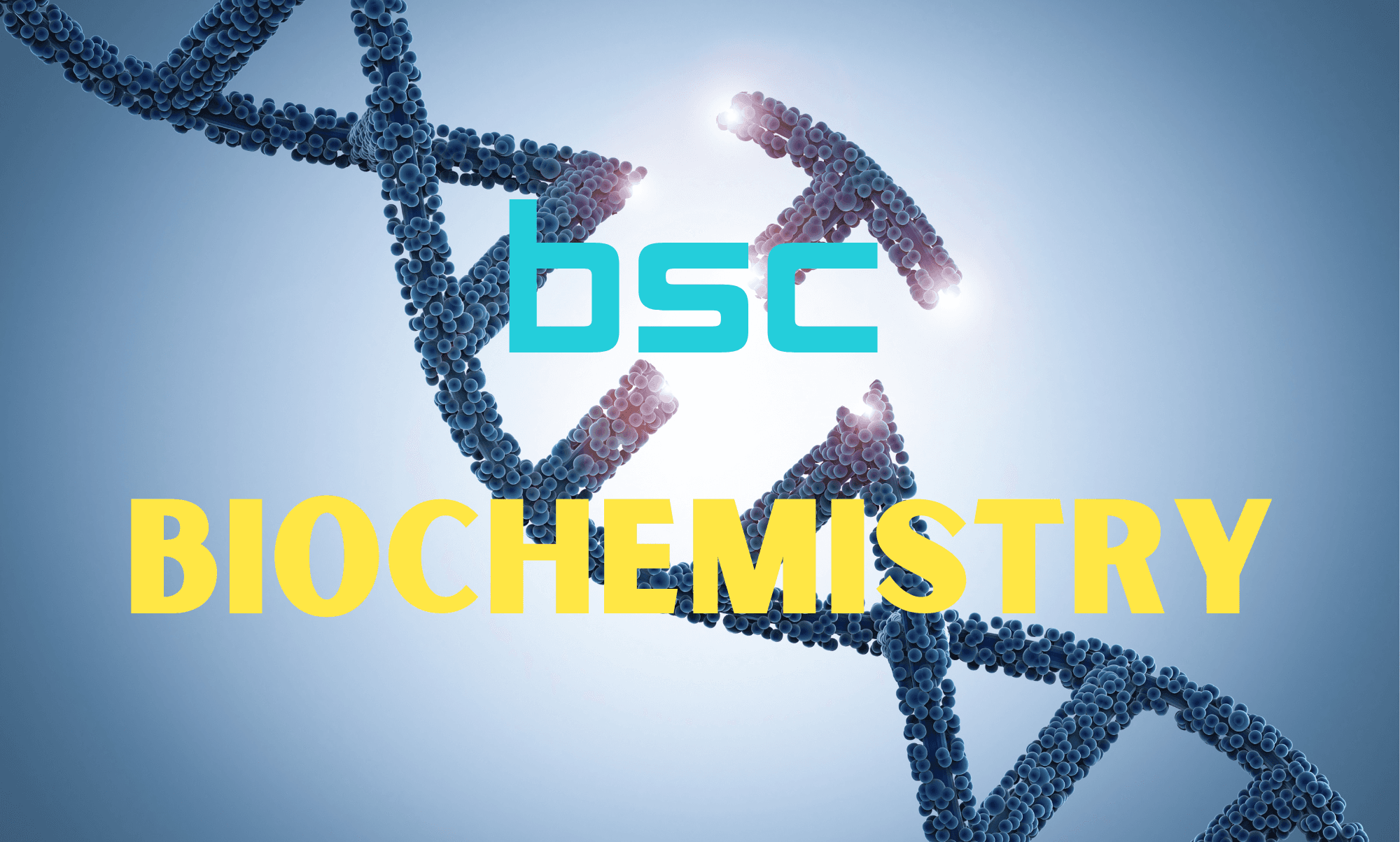 Bachelor of Science (Biochemistry)